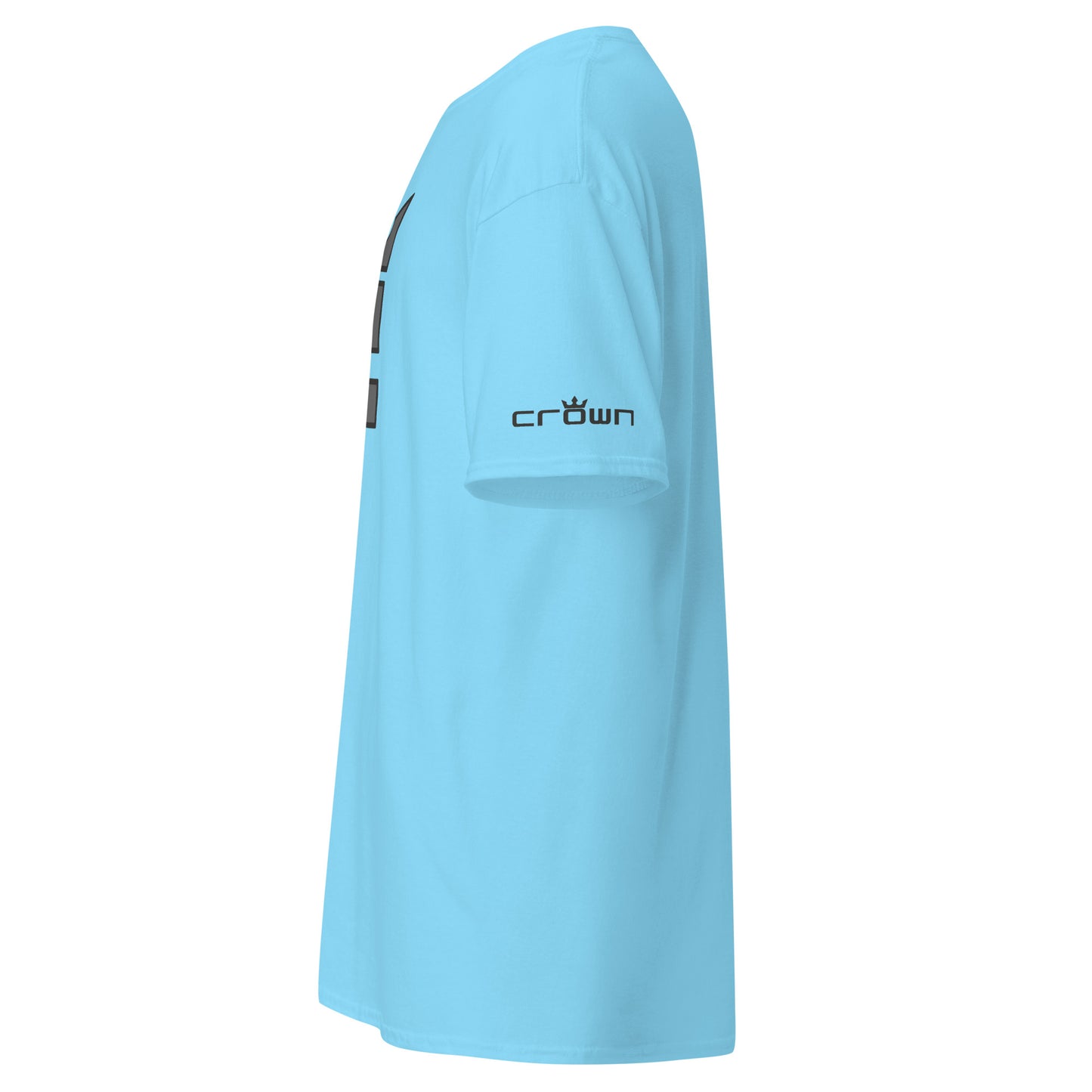 CROWN DOUBLE GRAY Men's classic tee